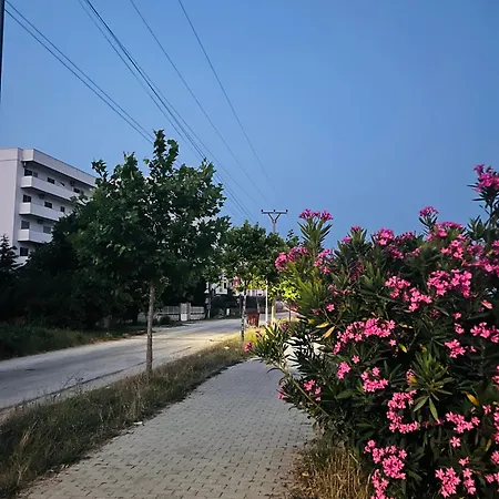 Cozy Qerret Kavaje